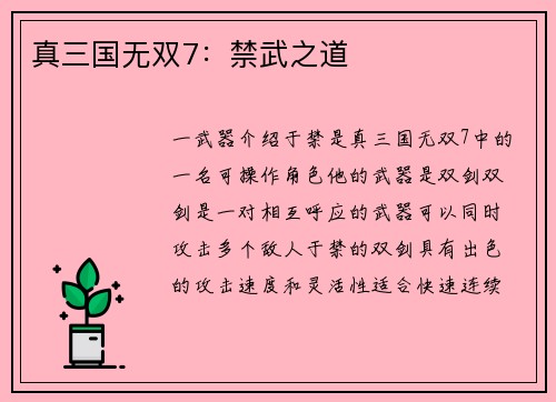 真三国无双7：禁武之道